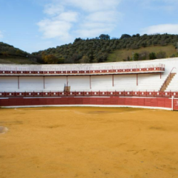 Plaza de Toros El Camisero